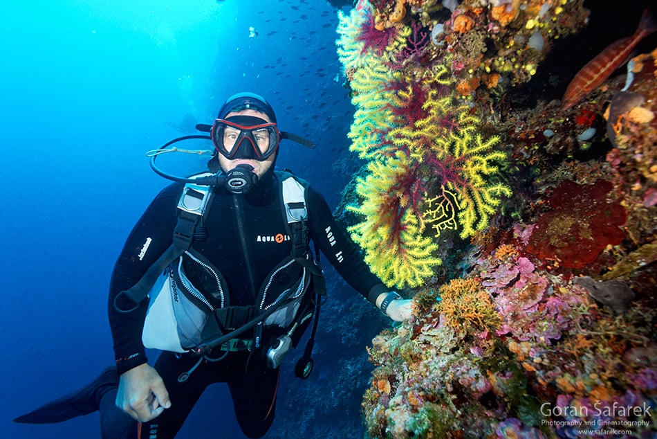 diving