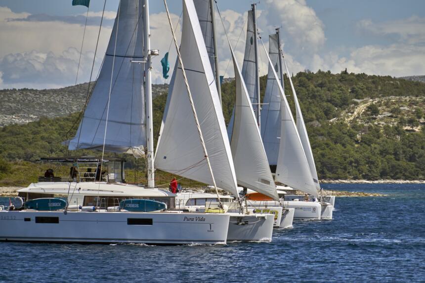 Competing catamarans