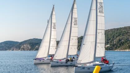 Sailboats corporate regatta