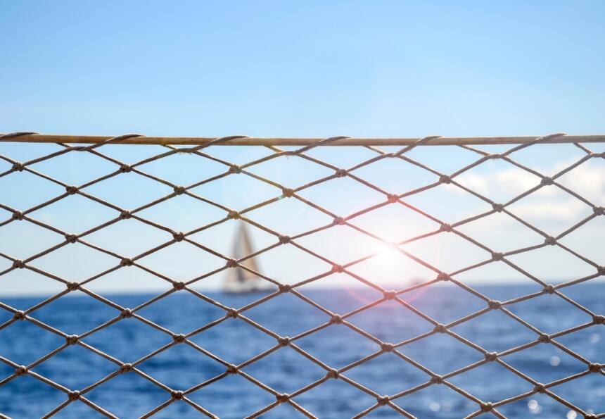 Sigurnosna mreža na brodu za kućne ljubimce