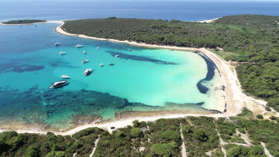 Snorkeling Guide for North Dalmatia – Croatia